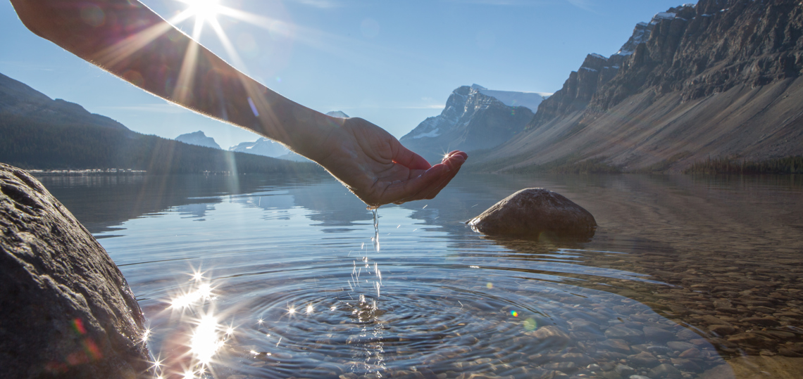 istock-498799968.jpg